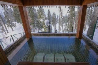 Margelle piscine naturelle : pierre, bois ou béton coulé ?