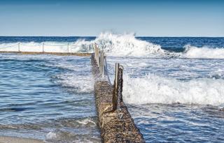 Pisciniste spécialisé piscine naturelle : comment bien choisir