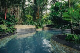 Eau trouble en piscine naturelle, d'où vient-elle ?
