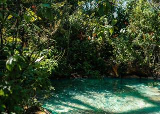 Mise en eau piscine naturelle : délais, étapes et erreurs à éviter